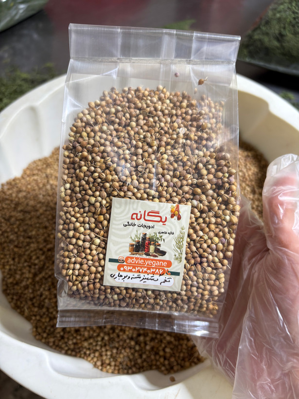 تخم گشنیز بوجاری شسته و بوداده شده